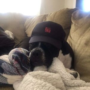 Meet your Posher, Dylan